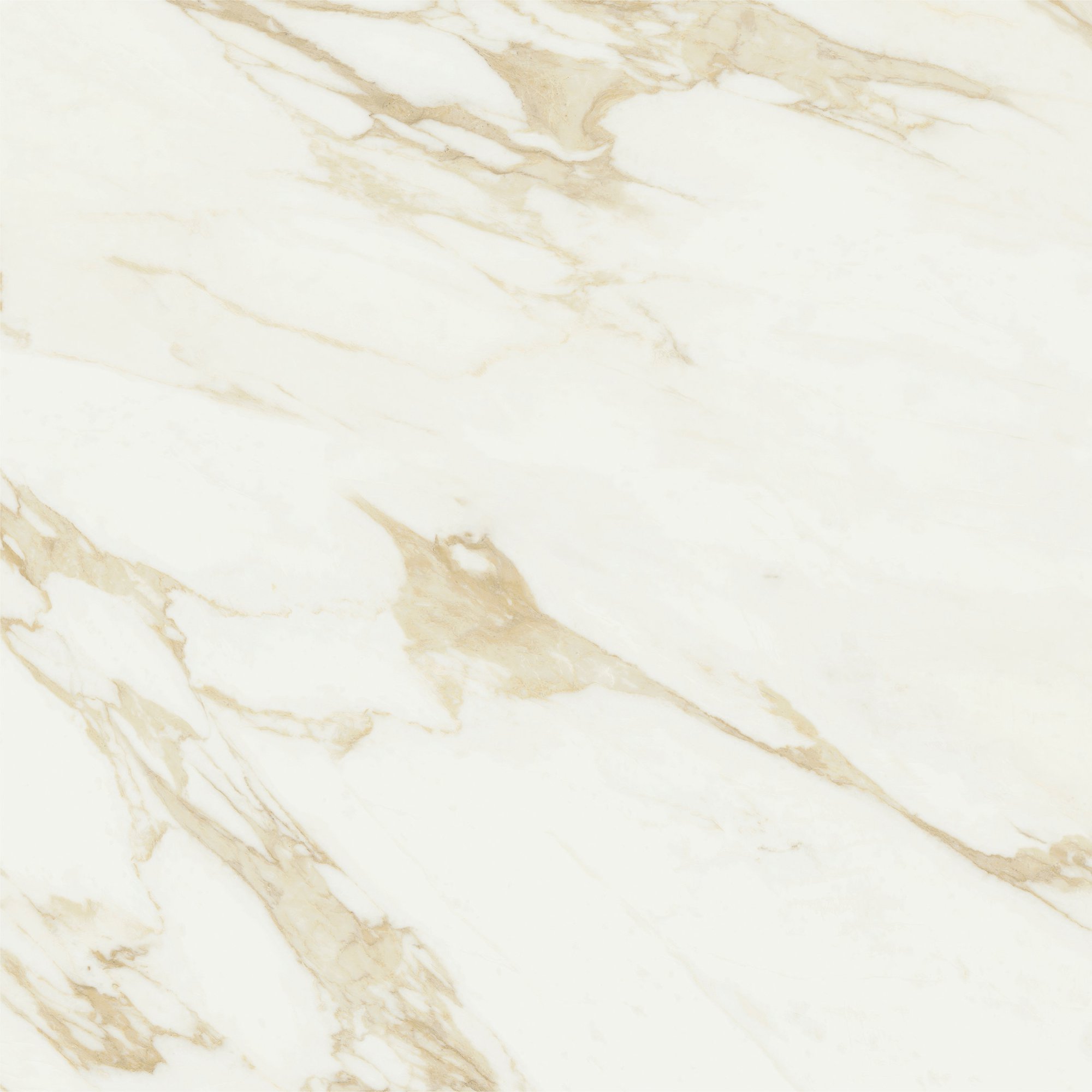 Select Collection — Allure White / Gold Polished — Johnson Tiles